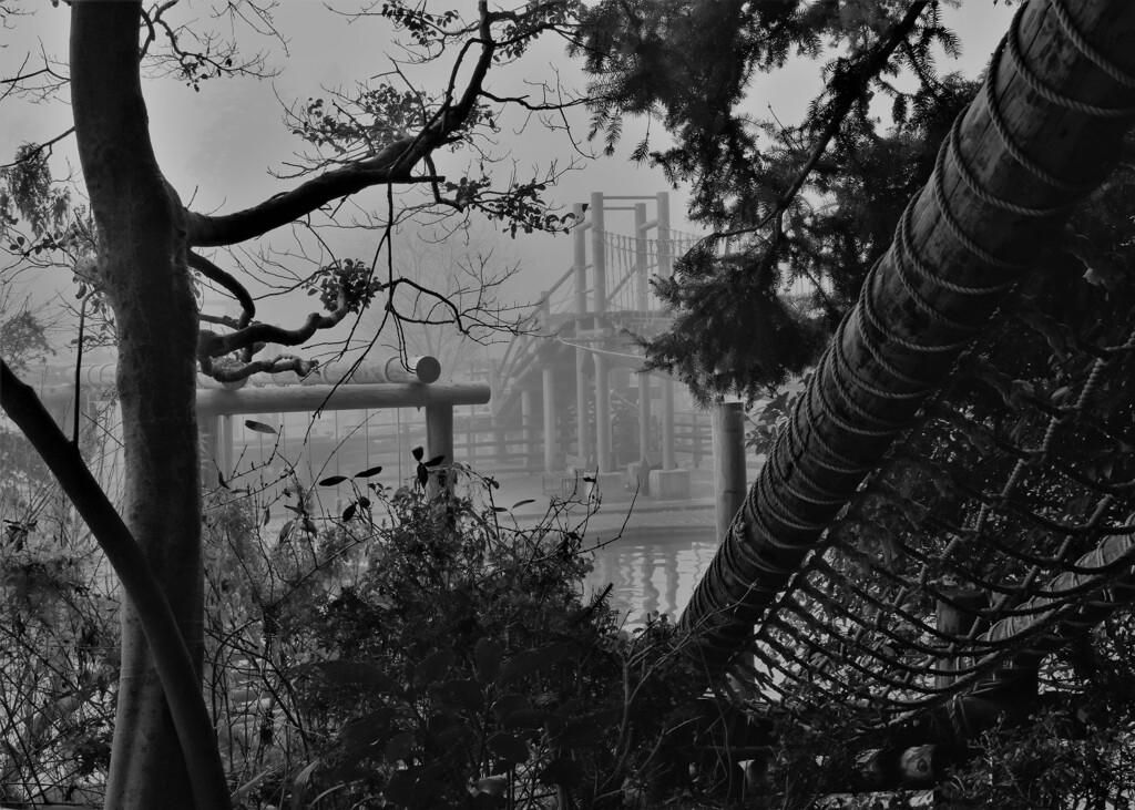 濃霧のアスレチック