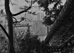 濃霧のアスレチック