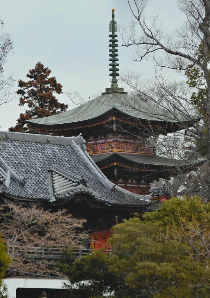 神社