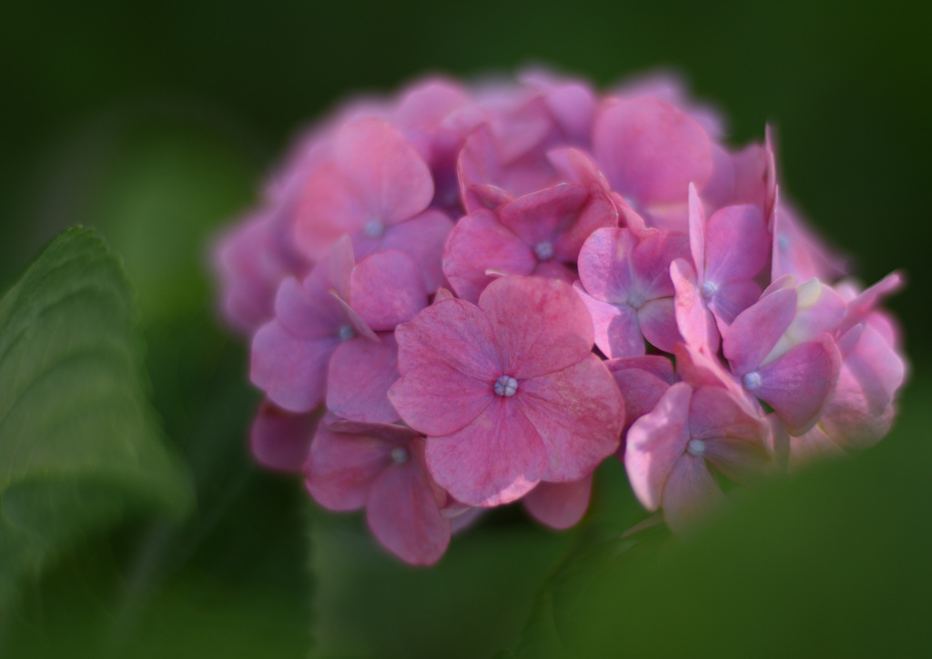 DSC_8050