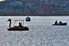 DSCF6725 