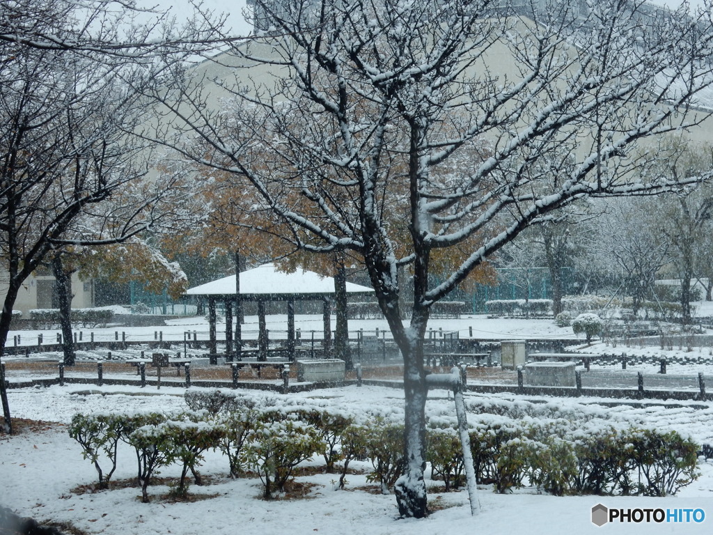 DSCN5268