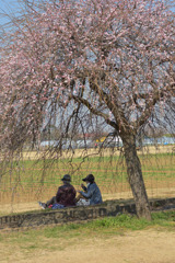 あけぼの山公園