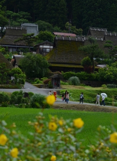 ポストの見える街並み