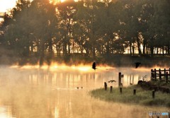 DSC_2892「good morning」