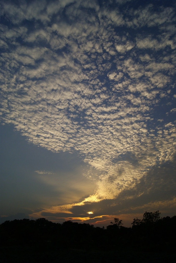 夕焼け