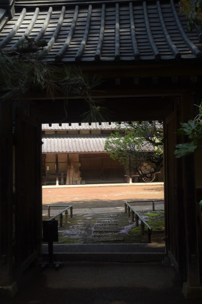 DSC_1081 
