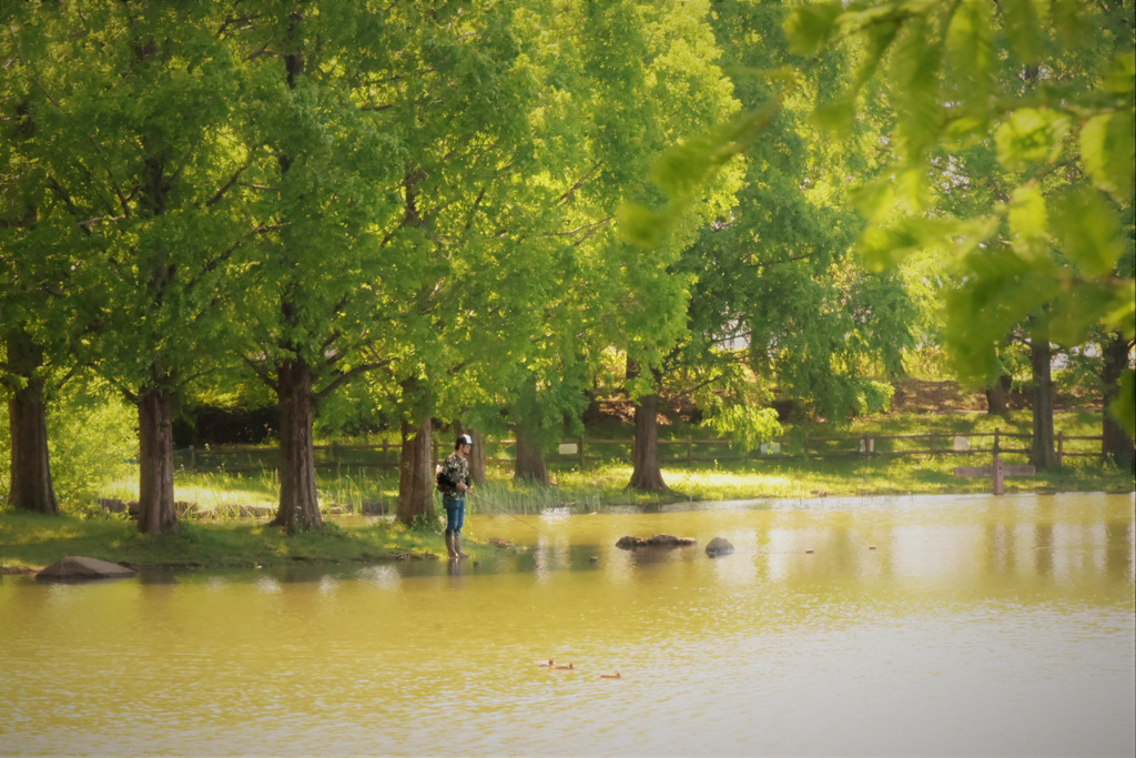 夏の様な陽差し
