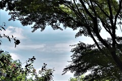 DSC_7511 
