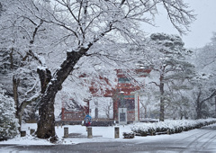 雪と仁王門