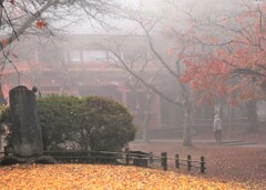 朝