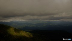 DSC_7917
