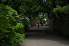 DSCF7499