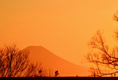 江戸川からの富士山