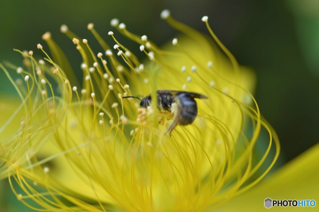 DSC_8972「もがく」