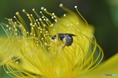 DSC_8972「もがく」