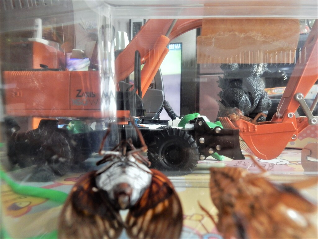 夏の思い出