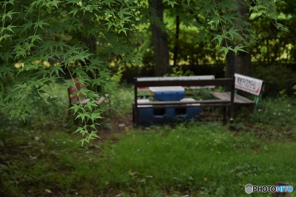 DSC_8424「ベンチ」