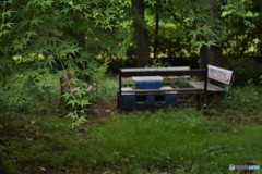 DSC_8424「ベンチ」