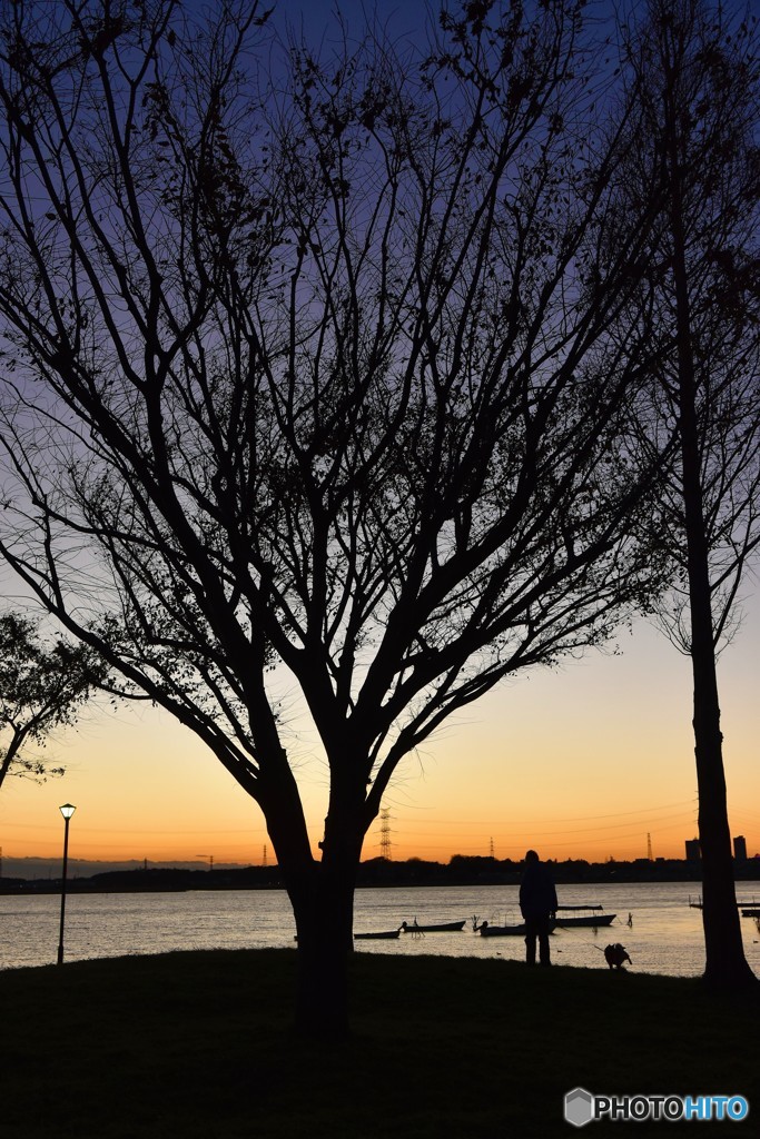 DSC_3253「散歩」