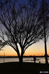 DSC_3253「散歩」