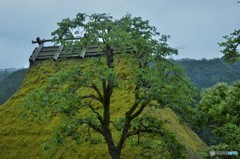茅葺き