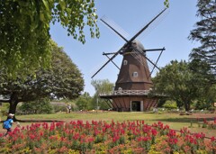 DSCF1907 