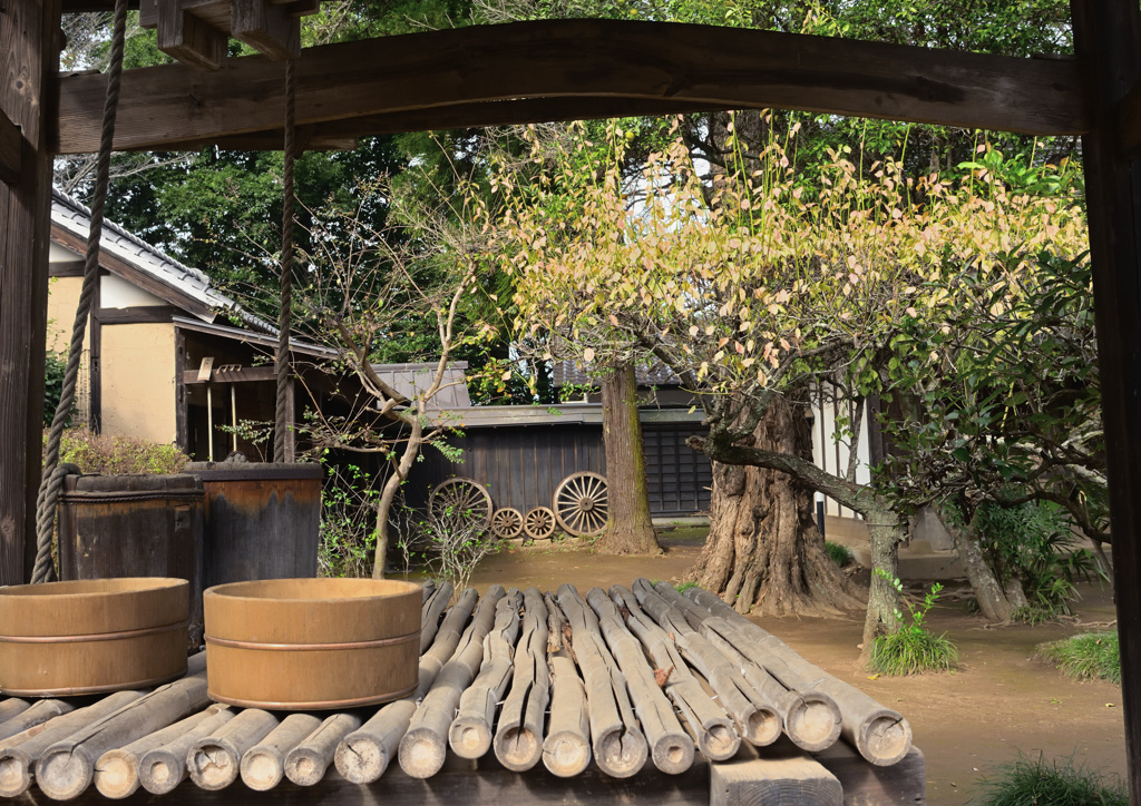 坂野家
