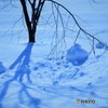 DSC_9726「青の影」