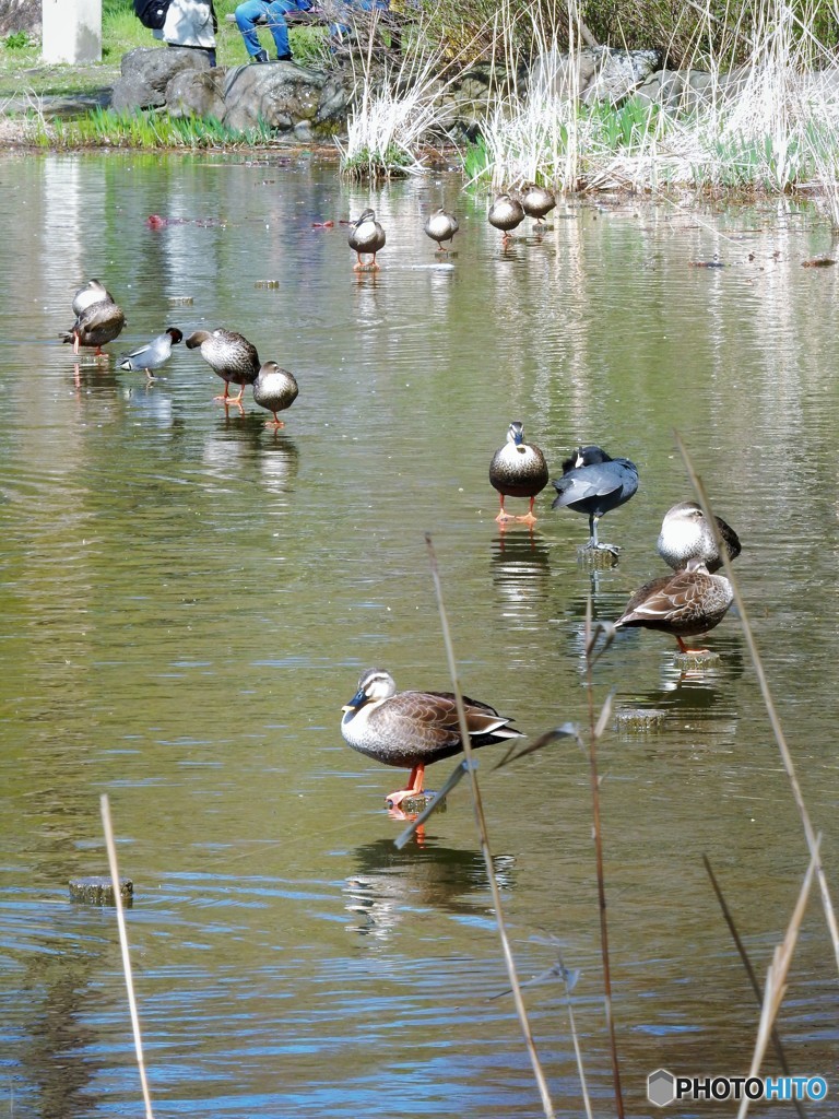 一寸一休み