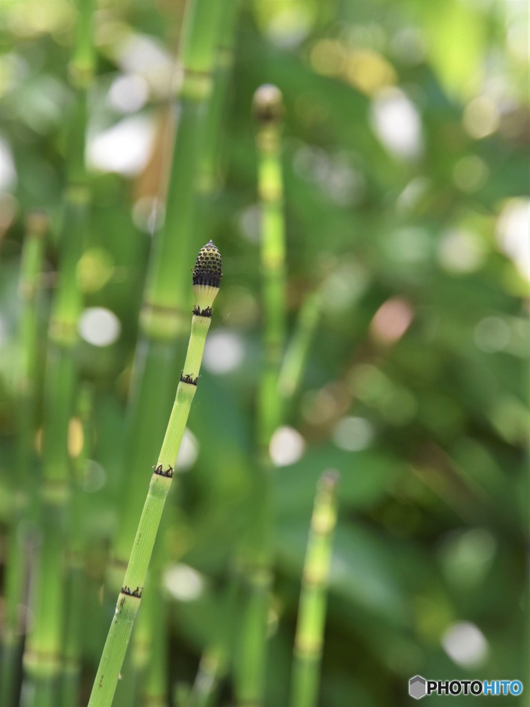 DSC_8667「僕の名は！？