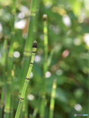 DSC_8667「僕の名は！？