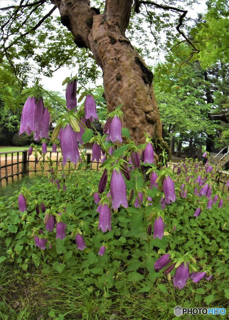 DSC_8364「・・・」