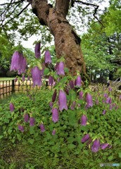 DSC_8364「・・・」