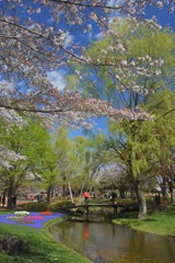 昭和記念公園 昭和記念公園