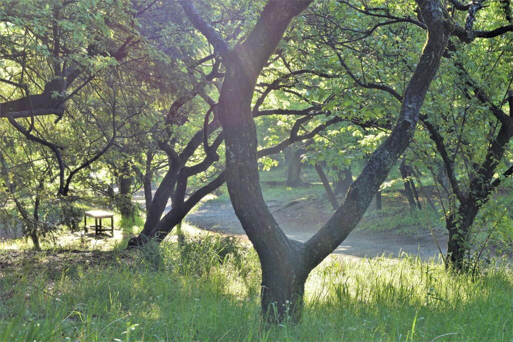 真夏のような五月
