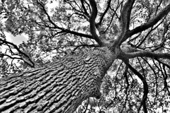 DSCF5876