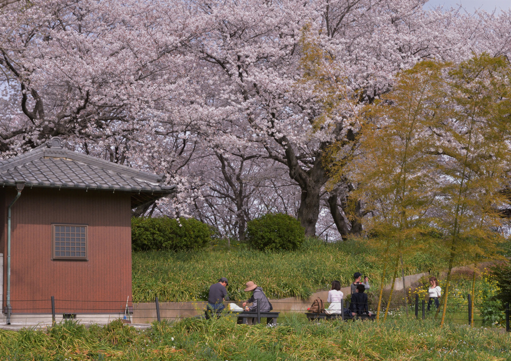 思い思いの時間