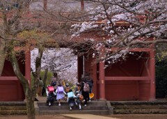 ピッカピッカの一年生♬