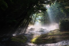 霧とやさしき流れ