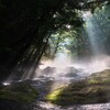 霧とやさしき流れ