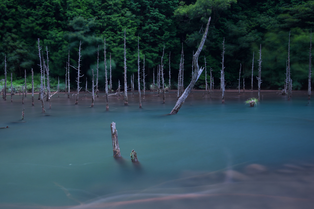 青い池みたいな池