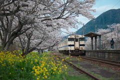 旅に出たい気分