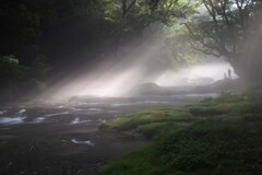 霧に溶けゆく光