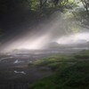 霧に溶けゆく光
