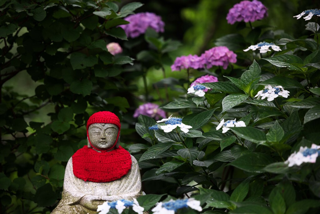 花に囲まれたほほえみ