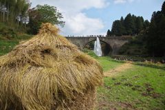 稲香る橋の下で