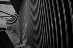 壁のリズムと曲線の空間