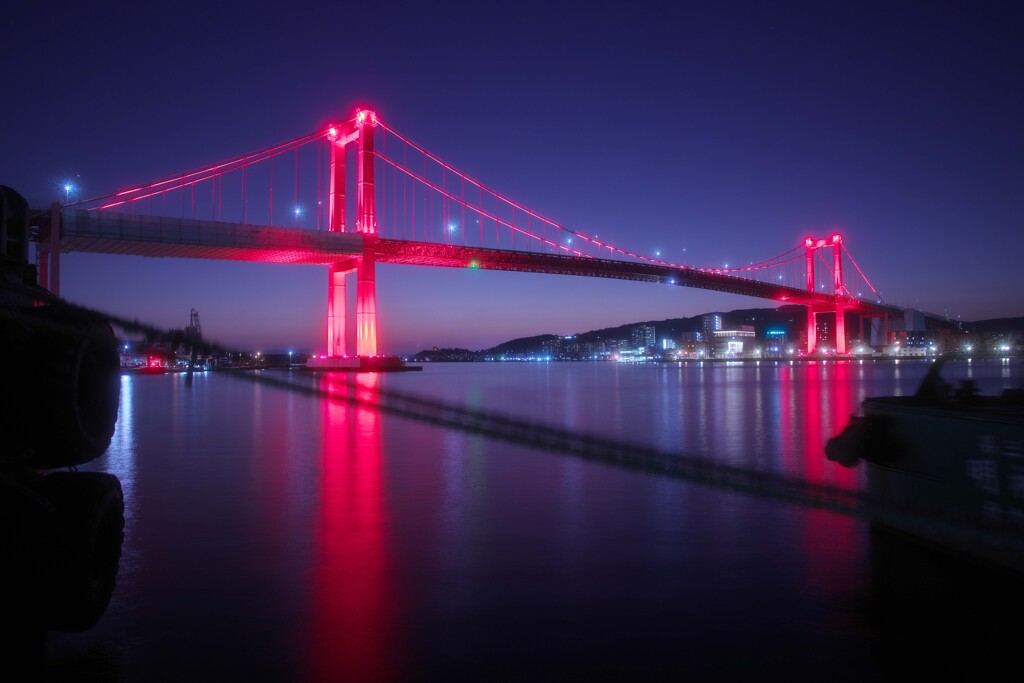 水鏡に映る赤の構造美