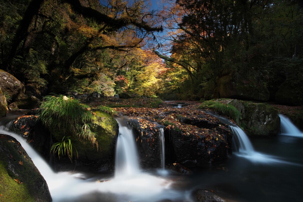 秋声をひそめる溪谷